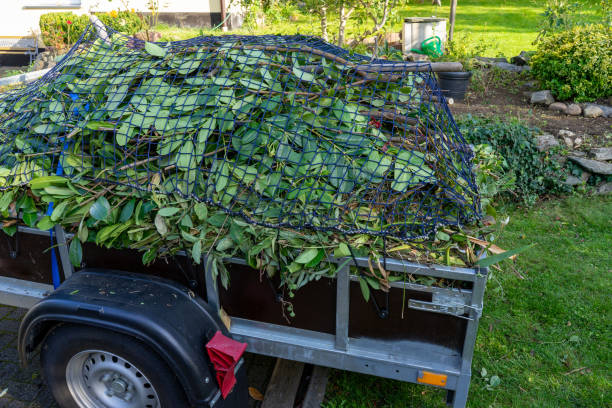 Best Yard Waste Removal  in Shoshone, ID